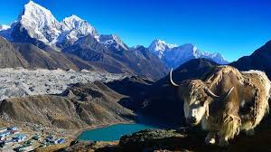Everest